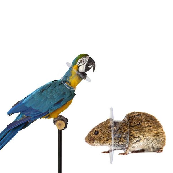 bird protective bead parrot collar anti feather picking ring anti-plucking anti-grab elizabethan collar for rodents birds
bird protective bead parrot collar anti feather picking ring anti-plucking anti-grab elizabethan collar for rodents birds