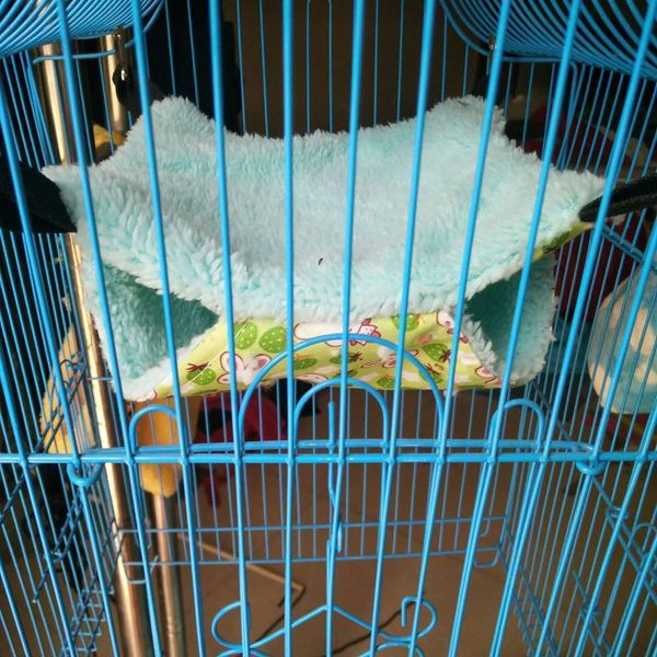 sugar glider keep warm double-deck interlayer small pet suspension type squirrel sleeping bag pets articles hamster hammock
sugar glider keep warm double-deck interlayer small pet suspension type squirrel sleeping bag pets articles hamster hammock