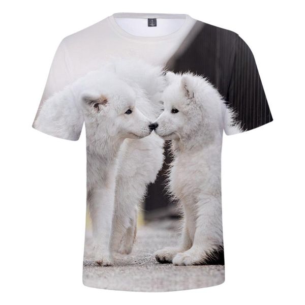 child size samoyed t shirt men women harajuku t shirt streetwear harajuku boy girl kpop pops dog samoyed for kids, White;black
child size samoyed t shirt men women harajuku t shirt streetwear harajuku boy girl kpop pops dog samoyed for kids, White;black