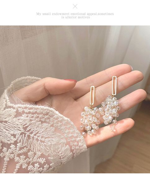 s925 silver needle high-grade long crystal fringed grape earrings for women jewelry net red party wedding gift
s925 silver needle high-grade long crystal fringed grape earrings for women jewelry net red party wedding gift