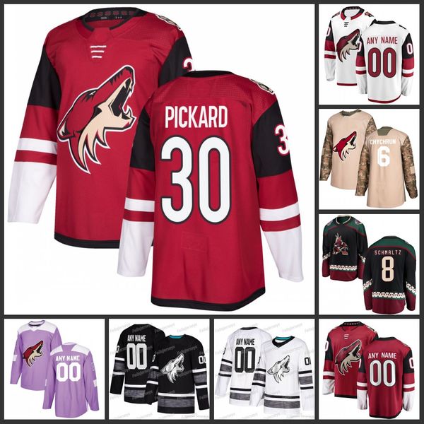 30 Cal Pickard 2019 All Star Arizona Coyotes Clayton 6 Jakob Chychrun 11 Brendan Perlini 8 Nick Schmaltz 14 Richard Panik Jerseys
30 Cal Pickard 2019 All Star Arizona Coyotes Clayton 6 Jakob Chychrun 11 Brendan Perlini 8 Nick Schmaltz 14 Richard Panik Jerseys