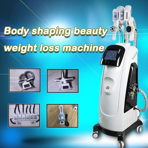 2019 popular fat ing cryolipolysis cold body sculpting fat e slimming machine for salon use
2019 popular fat ing cryolipolysis cold body sculpting fat e slimming machine for salon use