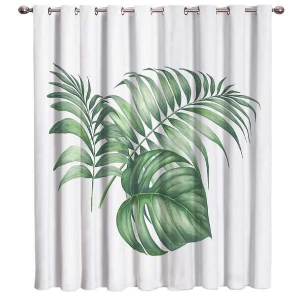 tropical palm leaves watercolor plant decoration room curtains large window window curtains dark blinds living room
tropical palm leaves watercolor plant decoration room curtains large window window curtains dark blinds living room