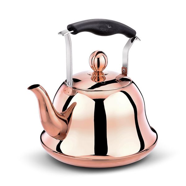 304 stainless steel whistling kettle gas induction cooker water pot household gas kettle creative teapot
304 stainless steel whistling kettle gas induction cooker water pot household gas kettle creative teapot