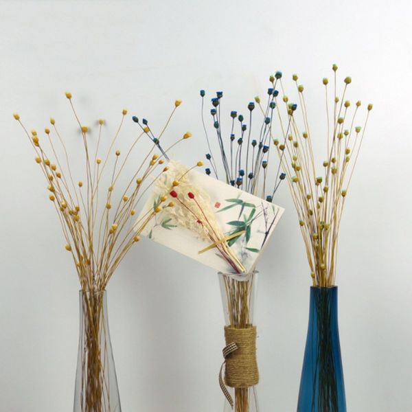 50 stems dried flowers happy flower natural plants bouquet decorative floral for home wedding decoration festival party supplies
50 stems dried flowers happy flower natural plants bouquet decorative floral for home wedding decoration festival party supplies