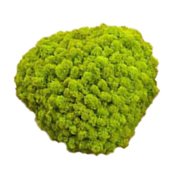 artificial moss stones moss balls decorative moss garden decoration aquarium decoration 25g
artificial moss stones moss balls decorative moss garden decoration aquarium decoration 25g
