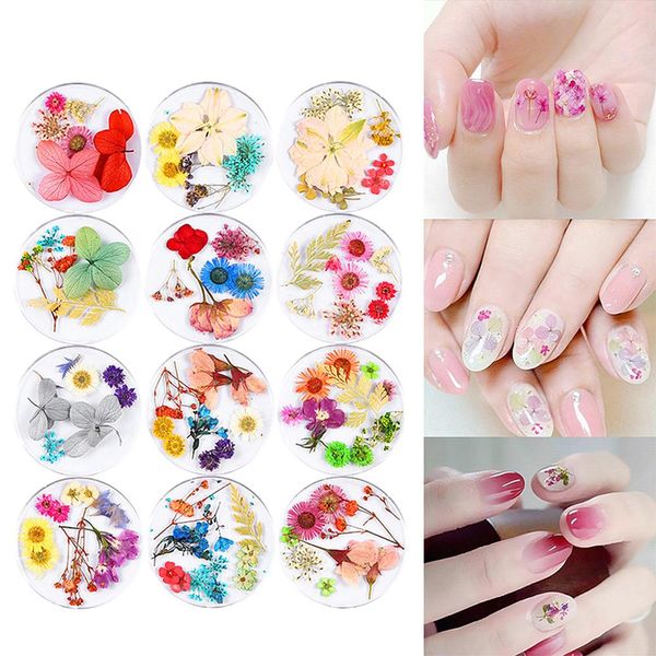 dried flowers 3d nail art decor design diy tips manicure 12 colors fashion nail art decoration
dried flowers 3d nail art decor design diy tips manicure 12 colors fashion nail art decoration