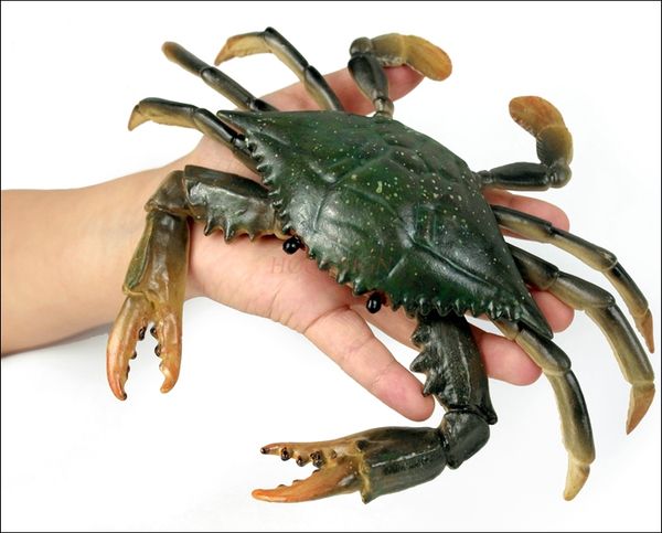 simulation marine animal swimming crab crab model toy seafood bottom world lobster solid child cognitive gift 2020
simulation marine animal swimming crab crab model toy seafood bottom world lobster solid child cognitive gift 2020