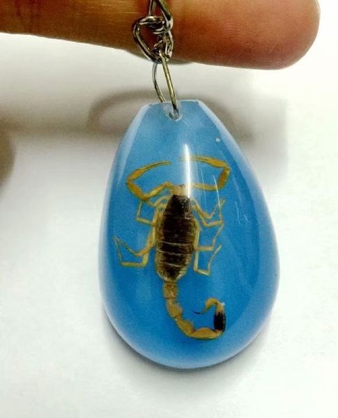 yqtdmy specimen insect keychain specimens collecting taxidermy gift accessorie, Slivery;golden
yqtdmy specimen insect keychain specimens collecting taxidermy gift accessorie, Slivery;golden