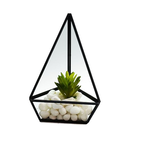creative geometric cone terrarium micro landscape glass container for succulent air plant fern moss cacti modern centerpiece vase
creative geometric cone terrarium micro landscape glass container for succulent air plant fern moss cacti modern centerpiece vase