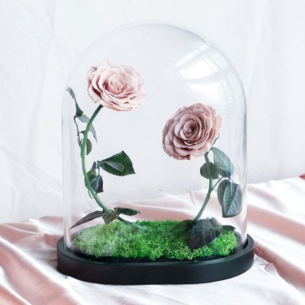 pc little prince natural eternal life rose in glass dome on wooden base preserved real rose gift for home decoration
pc little prince natural eternal life rose in glass dome on wooden base preserved real rose gift for home decoration