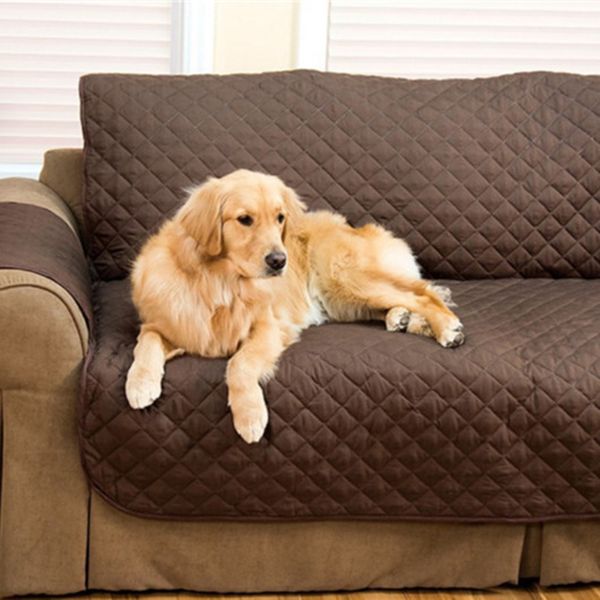 sofa protective cover for kids dog cats pet reversible waterproof furniture seat chair covers js23
sofa protective cover for kids dog cats pet reversible waterproof furniture seat chair covers js23