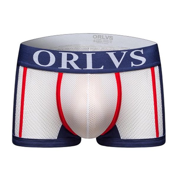 2020 new low waist fun translucent mesh men's underwear men's breathable flat pants u convex color matching shorts, Black;white
2020 new low waist fun translucent mesh men's underwear men's breathable flat pants u convex color matching shorts, Black;white