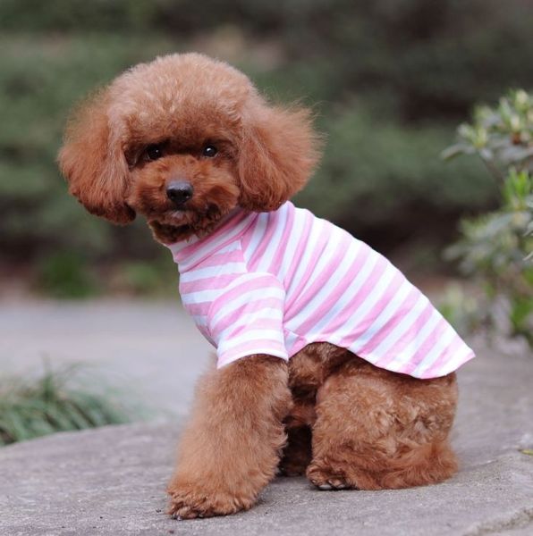 pet cat vest clothing pet t shirt dog shirt costumes summer dog clothes for small dogs cotton
pet cat vest clothing pet t shirt dog shirt costumes summer dog clothes for small dogs cotton