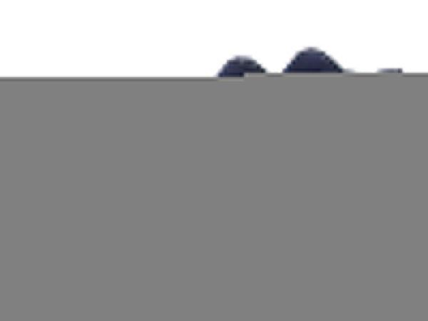2019 new designer red bottoms slip-on roller boat casual shoes mens womens suede spike crystal genuine leather sport sneakers party d09, Black
2019 new designer red bottoms slip-on roller boat casual shoes mens womens suede spike crystal genuine leather sport sneakers party d09, Black