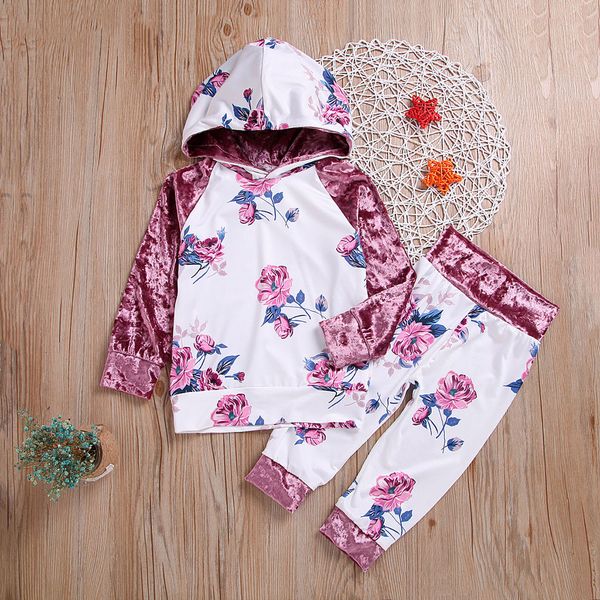toddler baby girls clothes set child long sleeve floral print hoodie +pants suit children's clothing girl tracksuit outfits, White
toddler baby girls clothes set child long sleeve floral print hoodie +pants suit children's clothing girl tracksuit outfits, White