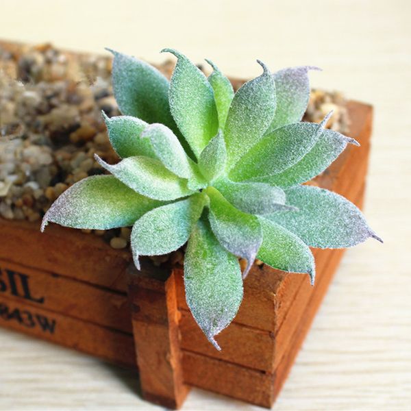 plastic artificial succulent plant cactus echeveria flower green plant grass desert artificial landscape home office decor
plastic artificial succulent plant cactus echeveria flower green plant grass desert artificial landscape home office decor