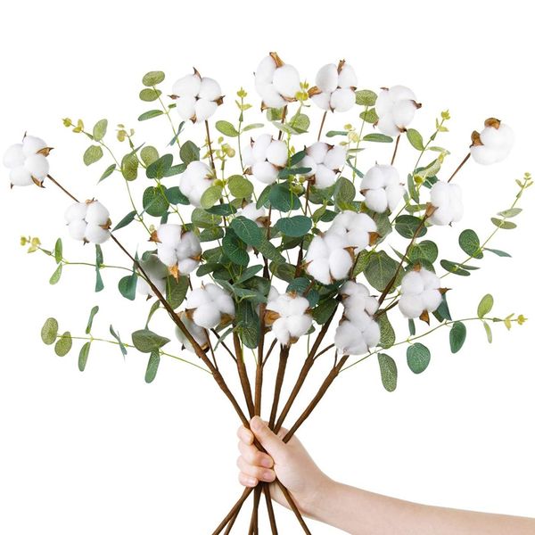 6 pcs cotton stems decor with eucalyptus leaves 4 cotton heads for farmhouse style floral decorations
6 pcs cotton stems decor with eucalyptus leaves 4 cotton heads for farmhouse style floral decorations