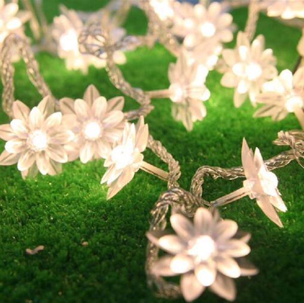 3m 20 led string lights battery operated christmas fairy lights warm white lutos flower decorative indoor outdoor tree party patio
3m 20 led string lights battery operated christmas fairy lights warm white lutos flower decorative indoor outdoor tree party patio