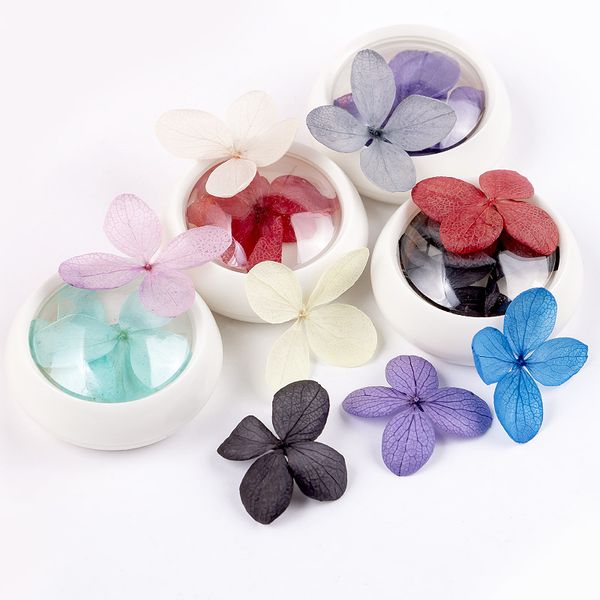 cyshmily 6box/set mixed dried flowers colorful nail decorations natural 3d nail various design art manicure accessories, Silver;gold
cyshmily 6box/set mixed dried flowers colorful nail decorations natural 3d nail various design art manicure accessories, Silver;gold