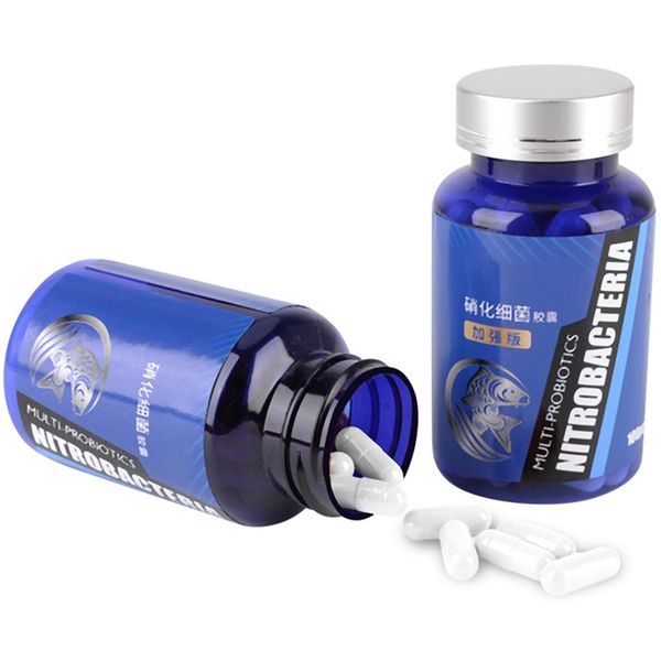 50pcs nitrifying bacteria for fresh water and marine water fish tank aquarium water purifier system
50pcs nitrifying bacteria for fresh water and marine water fish tank aquarium water purifier system