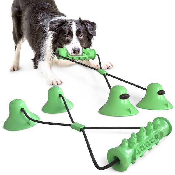 double suction cup drawstring dog toy molar teeth bite-resistant ball dog toy clean tooth pet supplies remove calculus
double suction cup drawstring dog toy molar teeth bite-resistant ball dog toy clean tooth pet supplies remove calculus