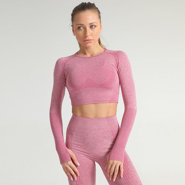 salspor sports women seamless yoga set 2pcs dot seamless long sleeve sport suit gym elastic tight sport leggings fitness clothes
salspor sports women seamless yoga set 2pcs dot seamless long sleeve sport suit gym elastic tight sport leggings fitness clothes