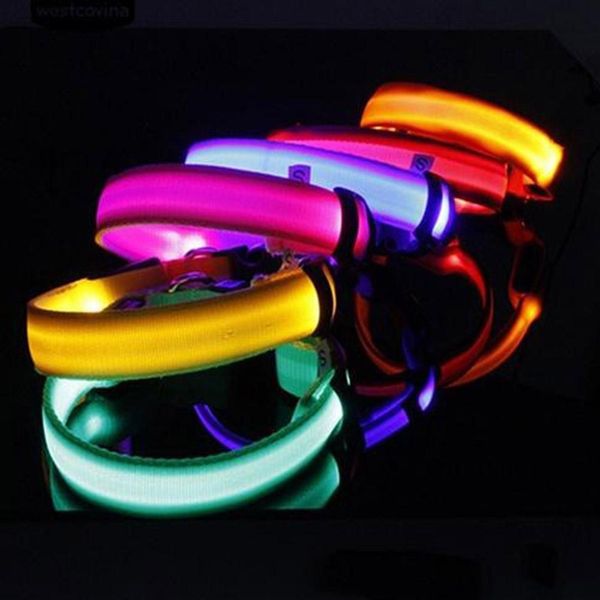 pet cat dog collar night safety flashing necklaces dogs luminous fluorescent dog harness for walking puppy pet cat supplies