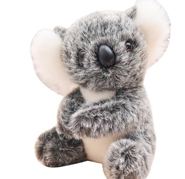 simulation koala doll plush toy cute koala doll small koala doll child birthday gift
simulation koala doll plush toy cute koala doll small koala doll child birthday gift