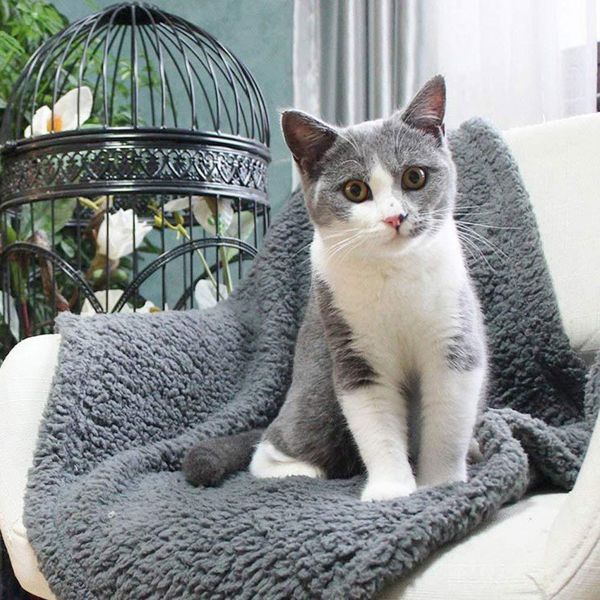 pet blanket cat sleeping mat towel keep warm blanket small medium dogs cats sleeping winter dog cat bed mats pet supplies perro
pet blanket cat sleeping mat towel keep warm blanket small medium dogs cats sleeping winter dog cat bed mats pet supplies perro