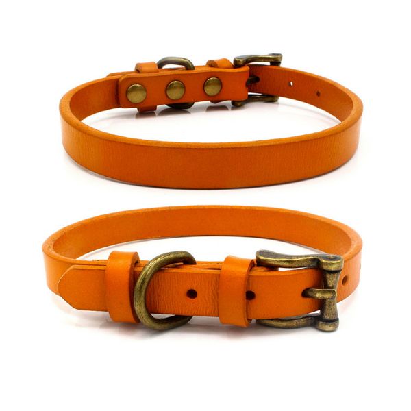 flat nylon choke chain collar chili kaulapanta patpet dog training collar dog accessories flat nylon bdegarden drbkk
flat nylon choke chain collar chili kaulapanta patpet dog training collar dog accessories flat nylon bdegarden drbkk