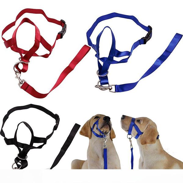 plus size xxl 1pc dog puppy head collar leashes 3 colors spulling halter training nose reigns kindly
plus size xxl 1pc dog puppy head collar leashes 3 colors spulling halter training nose reigns kindly
