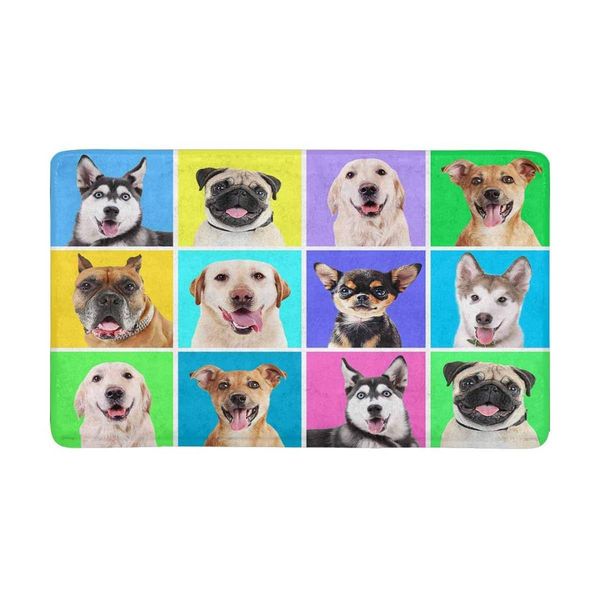 portraits cute dogs on colorful indoor doormat non slip front entrance door mat rug
portraits cute dogs on colorful indoor doormat non slip front entrance door mat rug