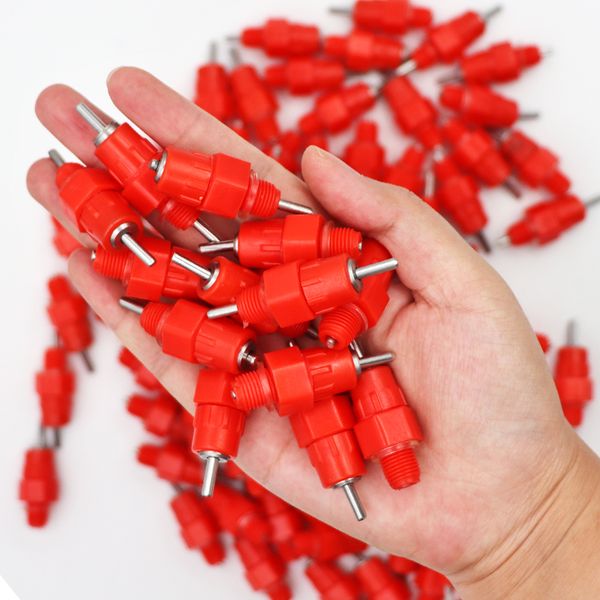 5 pcs 360 degrees nipples red chicken waterer poultry feed chicken drinking bird pigeon feeding ball red nipple drinkers for
5 pcs 360 degrees nipples red chicken waterer poultry feed chicken drinking bird pigeon feeding ball red nipple drinkers for