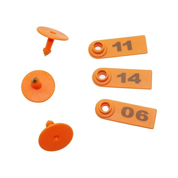 no.01-30 sheep ear tag signs with the word ear laser typing copper head earrings farm animal identification card
no.01-30 sheep ear tag signs with the word ear laser typing copper head earrings farm animal identification card