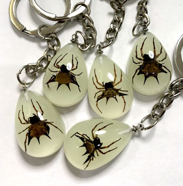 yqtdmy 30 pcs real spider cool keychain key ring specimens collecting trinket promotion gift,novel gift, Silver
yqtdmy 30 pcs real spider cool keychain key ring specimens collecting trinket promotion gift,novel gift, Silver