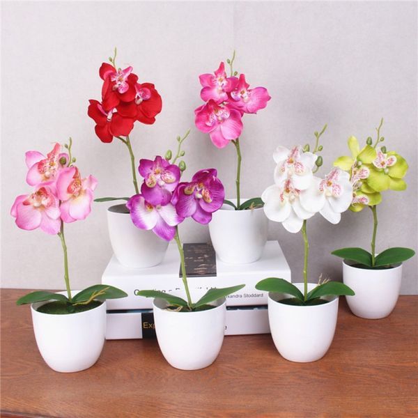 1pc 5 color artificial mini phalaenopsis potted for home decoration party various scenes environmentally friendly and durable
1pc 5 color artificial mini phalaenopsis potted for home decoration party various scenes environmentally friendly and durable