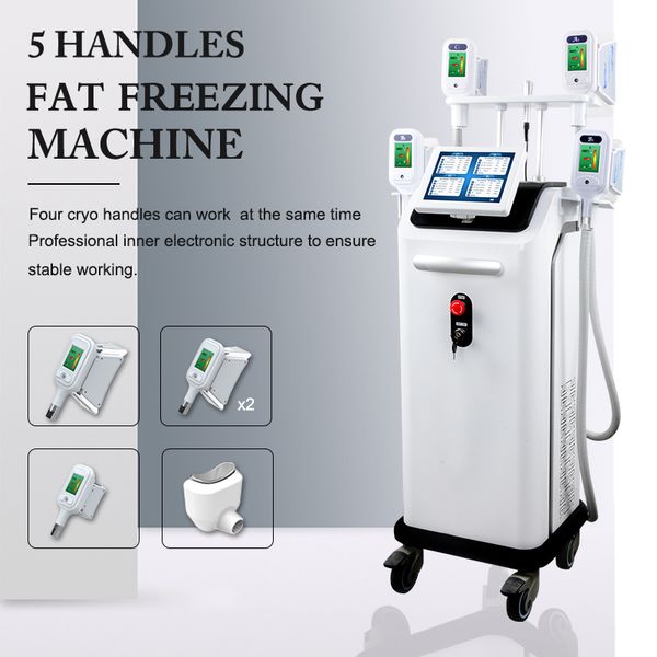 cryo slim fat e machine fat reduction cryolipolysis fat loss body weight loss machine 2 years warranty 
cryo slim fat e machine fat reduction cryolipolysis fat loss body weight loss machine 2 years warranty