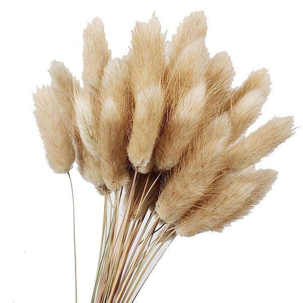 50pcs natural color dried flowers real flower bouquet for home wedding decoration tail grass bunchs
50pcs natural color dried flowers real flower bouquet for home wedding decoration tail grass bunchs