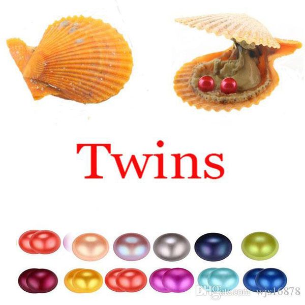 2020 akoya oyster pearl 6-7mm round twins pearl in oysters akoya oyster red shell with colouful pearls jewelry by vacuum packed, White
2020 akoya oyster pearl 6-7mm round twins pearl in oysters akoya oyster red shell with colouful pearls jewelry by vacuum packed, White