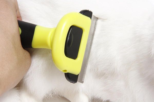 pet dog cat hair removal brush comb pet grooming tools cini fur hair shedding trimmer comb for dogs cats
pet dog cat hair removal brush comb pet grooming tools cini fur hair shedding trimmer comb for dogs cats