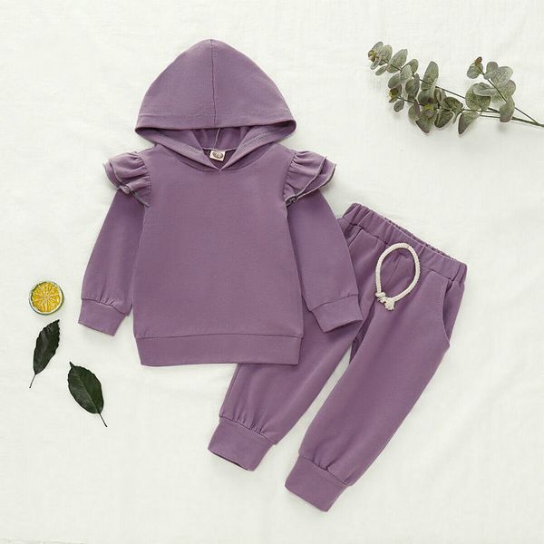autumn winter toddler kids baby boys girls outfits hooded solid long sleeve sweatshirt hoodied +pants clothes 2pcs set, White
autumn winter toddler kids baby boys girls outfits hooded solid long sleeve sweatshirt hoodied +pants clothes 2pcs set, White