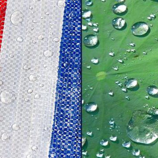 various size outdoor waterproof tarpaulin ground sheet camping lightweight tarp for car truck canopy cloth garden sunshade cloth
various size outdoor waterproof tarpaulin ground sheet camping lightweight tarp for car truck canopy cloth garden sunshade cloth
