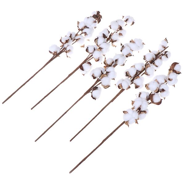 10heads naturally dried cotton flower artificial plants floral branch for wedding party decoration fake flowers home decorflower
10heads naturally dried cotton flower artificial plants floral branch for wedding party decoration fake flowers home decorflower