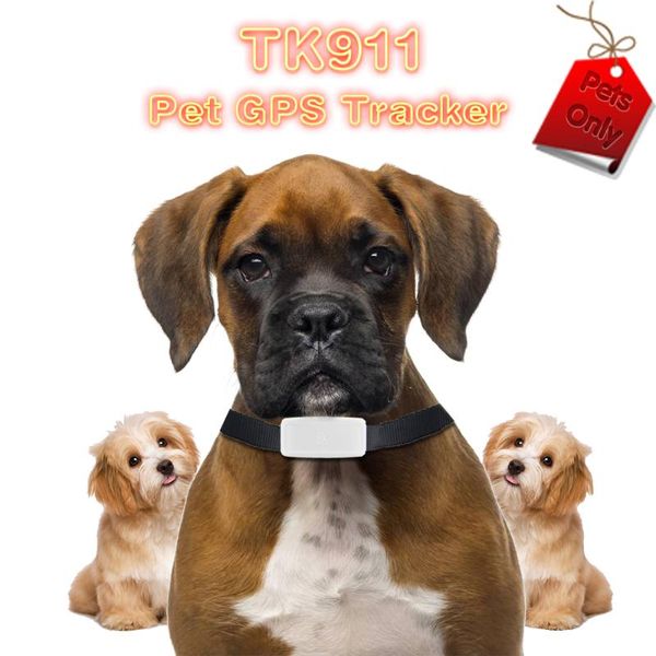 tkstar tk911 wifi pet cat dog gps tracker mini tracking locator device adsorption charging long standby time platform app
tkstar tk911 wifi pet cat dog gps tracker mini tracking locator device adsorption charging long standby time platform app