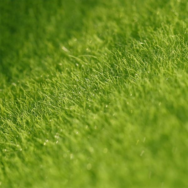 поддельный мосс diy simulate green plant газон ландшафтный дизайн для мини украшения сада
поддельный мосс diy simulate green plant газон ландшафтный дизайн для мини украшения сада