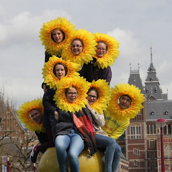 headgear clown mask sunflower sports the opening ceremony admission hand take flower kindergarten dance prop flower
headgear clown mask sunflower sports the opening ceremony admission hand take flower kindergarten dance prop flower