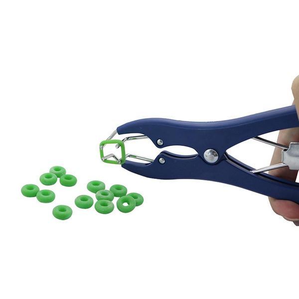tail castration forceps with high elastic tendon rubber castration rings pig piglet cutting tail docking clamp farm animal tool
tail castration forceps with high elastic tendon rubber castration rings pig piglet cutting tail docking clamp farm animal tool