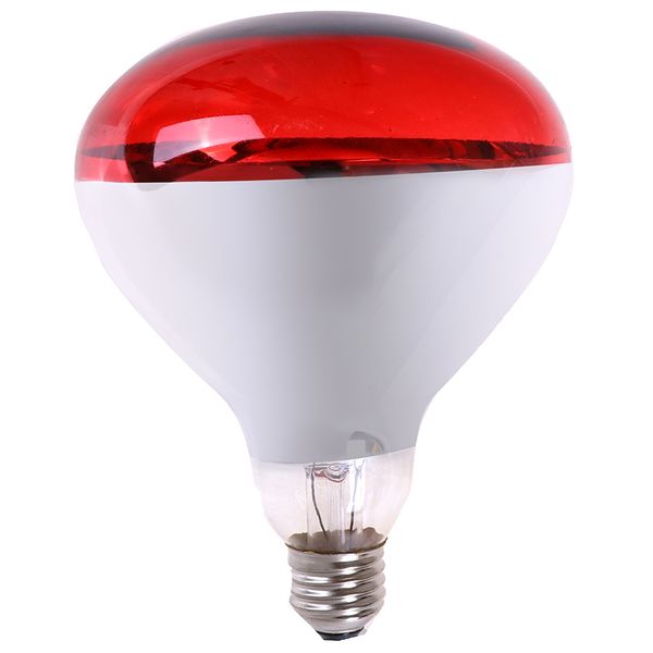 100/150 / 200 / 250w farm light тепловое сохранение pig chicken тепла лампы инфракрасных лучей led hatch dog cat красный белый цвет
100/150 / 200 / 250w farm light тепловое сохранение pig chicken тепла лампы инфракрасных лучей led hatch dog cat красный белый цвет