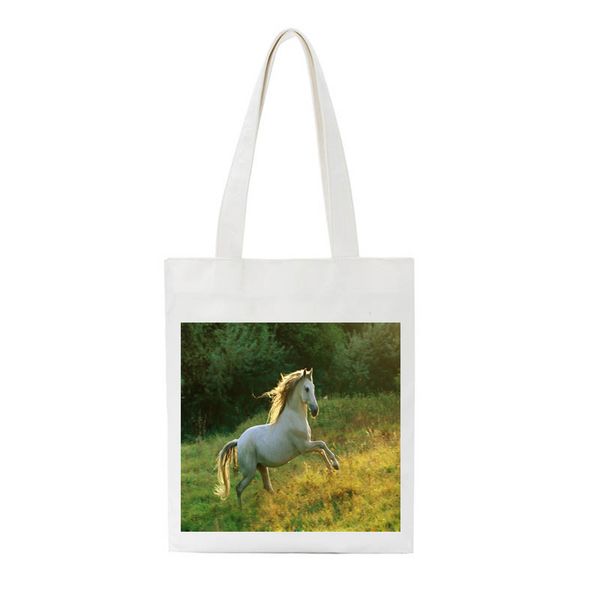 fashion ladies shopper reusable casual girls school bags portable travel storage canvas cartoon large capacity tote bag
fashion ladies shopper reusable casual girls school bags portable travel storage canvas cartoon large capacity tote bag